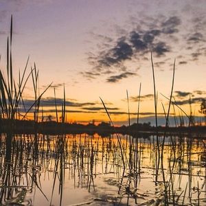 Meet your Posher, Lexie